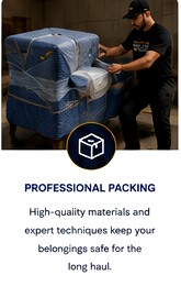 Professional Packing
